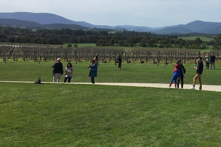 Scenic Private Yarra Valley Wine Tour