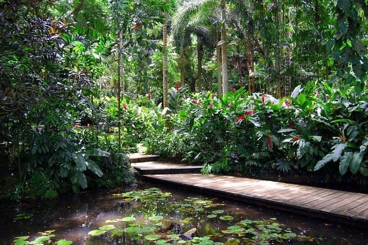 Nadi Sightseeing Include Viseisei Village, Market, Garden& Temple