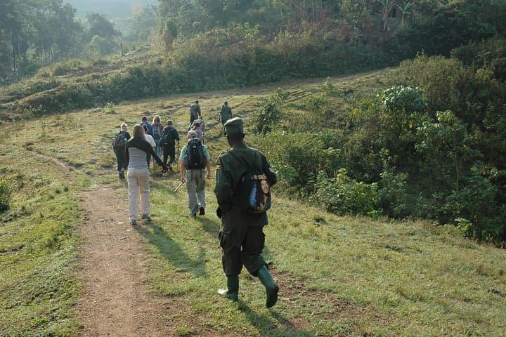 14 Day Uganda & Rwanda Primate Tour (Midrange Tour)