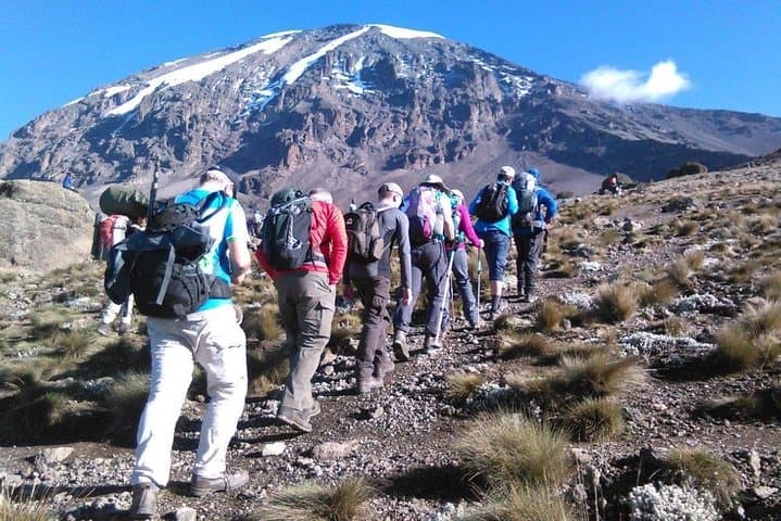 8 Days Lemosho Route Kilimanjaro Trekking