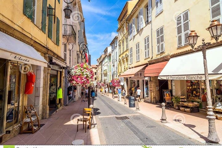 Antibes, Cannes Sightseeing Small Group Half Day Trip from Nice