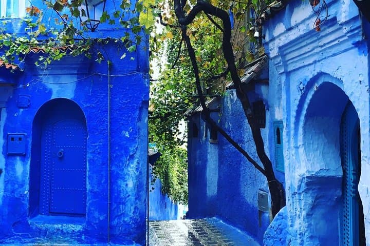 Chefchaouen Full day trip From Fez - Private transportation