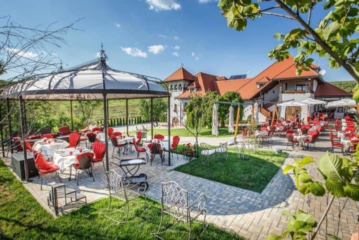 Private tour to Dracula's Grave, Wine Cellar and Medieval Palace