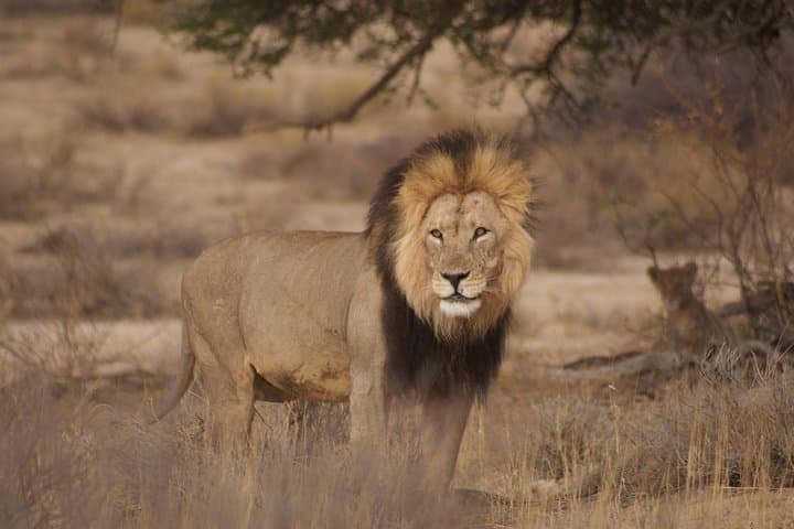 6 Day Private Guided Accommodated Namibian Loop