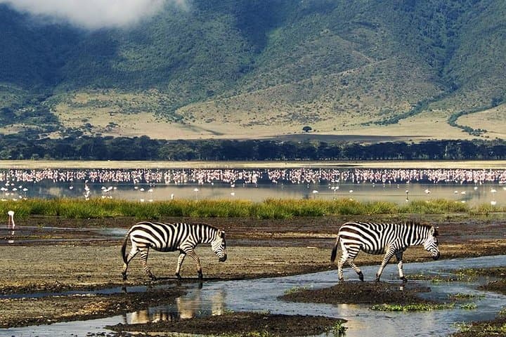 Ngorongoro Day Trip