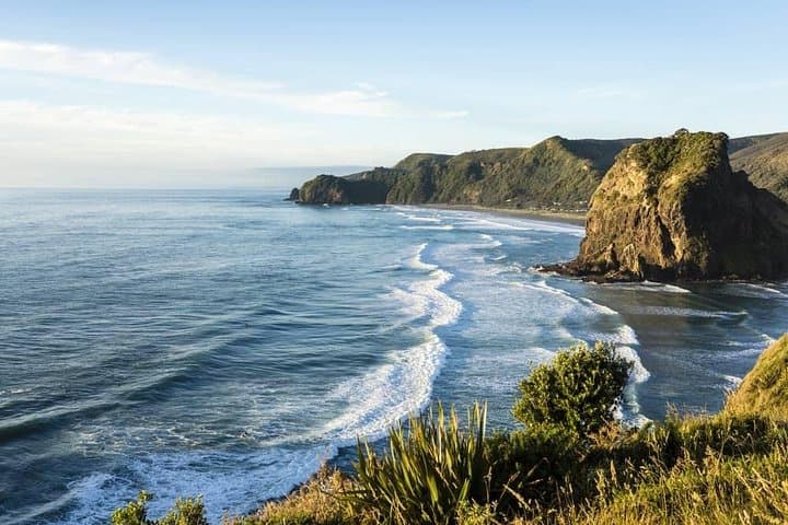 West Coast Discovery - Piha Beach or Muriwai Beach from Auckland