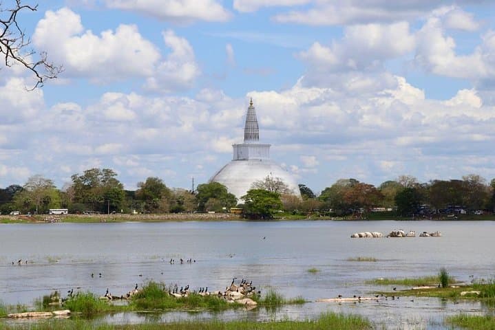 Sri Lanka Multi Day Car Hire with English Speaking Driver-Guide