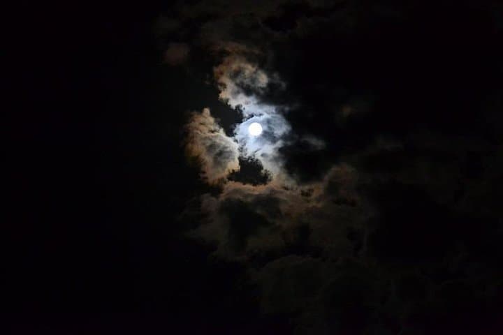 Night with Astrophile in the Conero Park - Private Tour