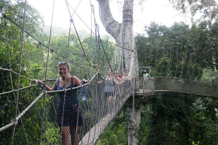 Visit Slave Dungeons (Elmina or Cape Coast) & Canopy Walk + Lunch