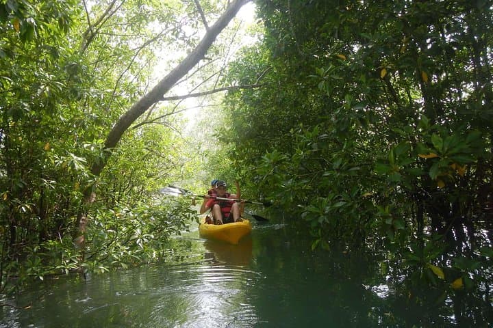 Singapore Paddle to Pedal Adventure in Pulau Ubin