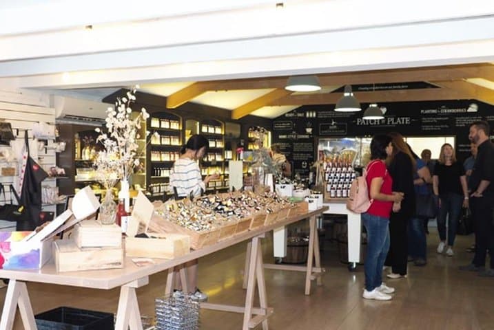 From Adelaide: Discover Adelaide Hills, Hahndorf & Mount Lofty