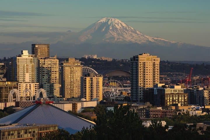 From Seattle: Private Seattle City Tour