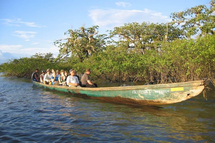 Amazon Wildlife Expedition Cuyabeno – 4 Days 3 Nights Lodge Stay