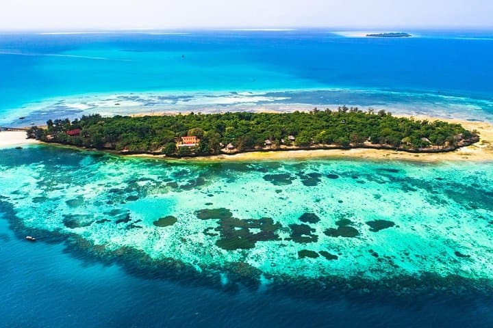Prison Island Half-Day Tour from Zanzibar