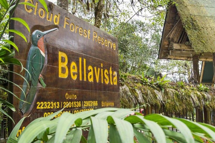 Bellavista Cloud Forest reserve / 3 day tour