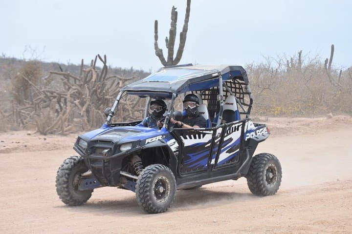 Razors in Cabo San Lucas
