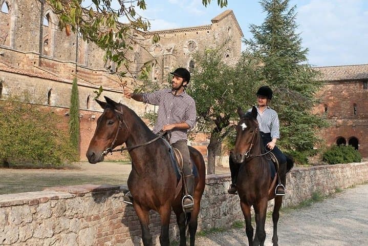 Horse Riding in Tuscany for Experienced or Beginner Riders
