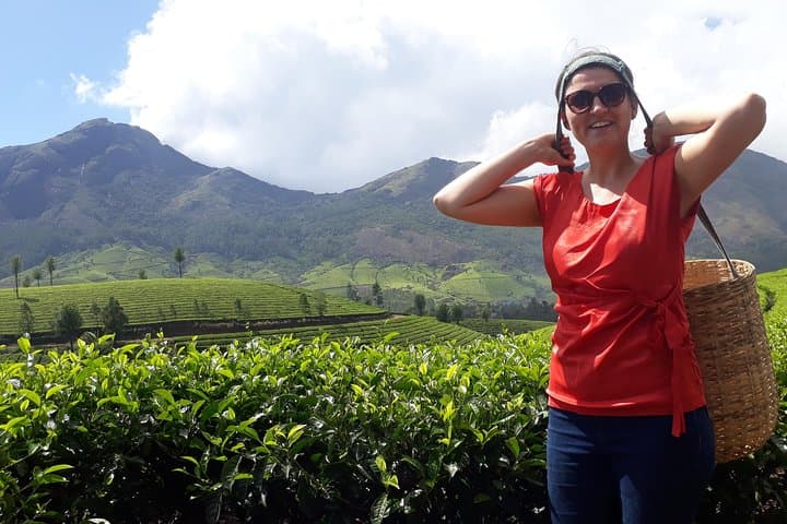 Tea Farm Tourism