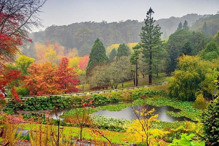 6 Days Kangaroo Island & Adelaide Shared Tour