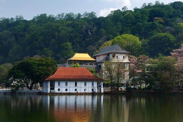 Private Day Tour To Kandy From Wadduwa
