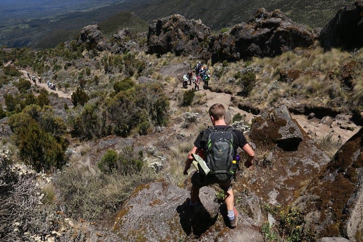 Mount Kilimanjaro Day Hike