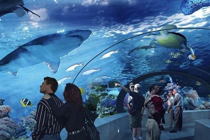 Antalya Aquarium Tour Platinium Tour