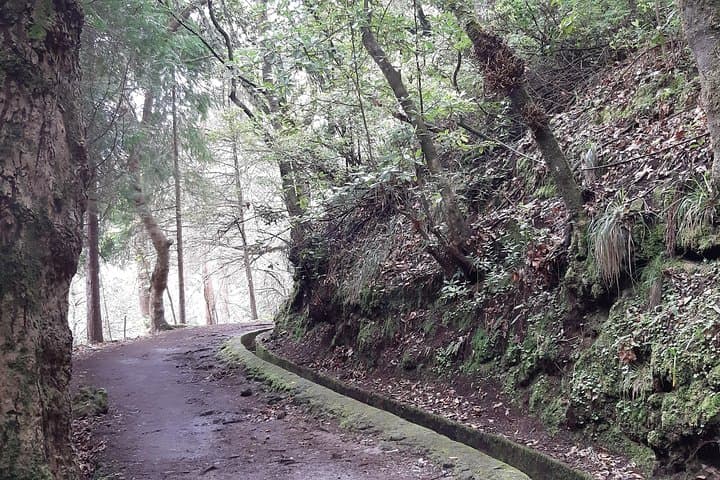 Madeira: Private Guided Tour to Ribeiro Frio and Chão das Feiteiras