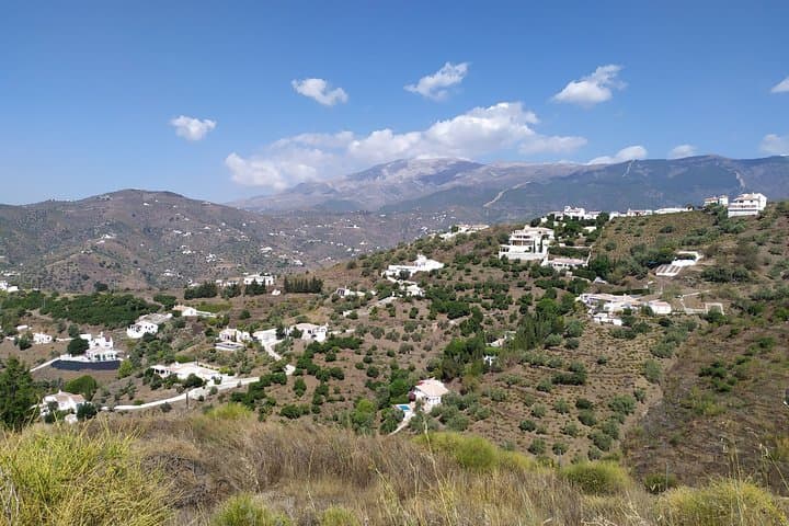 Discover boutique wineries and white washed villages with Andalucian lunch