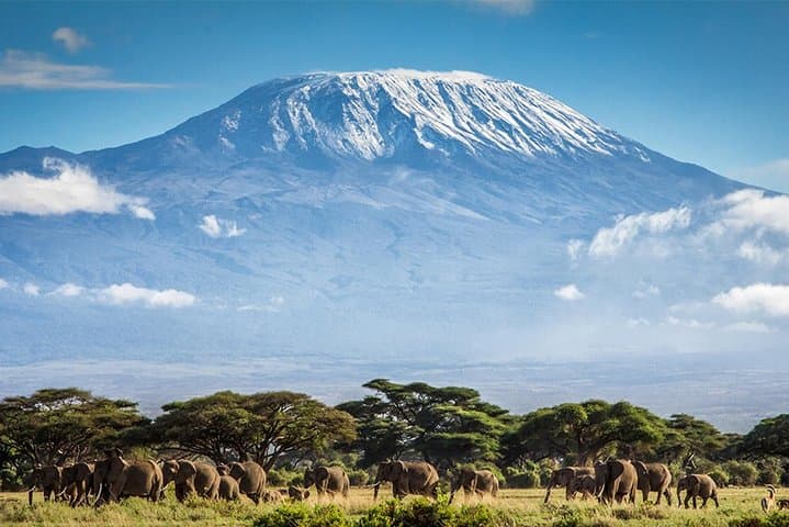 Climb Mount Kilimanjaro: 7 Days Machame Route With Airport Transfers
