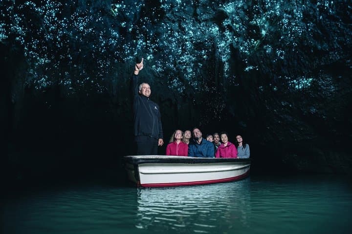 Private Tour [3 Days]: Hobbiton, Waitomo Twin Caves & Te Puia