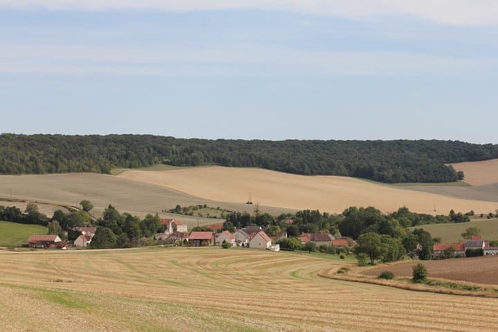 Private Half Day Champagne Tour – 2 Family Vineyard Visits
