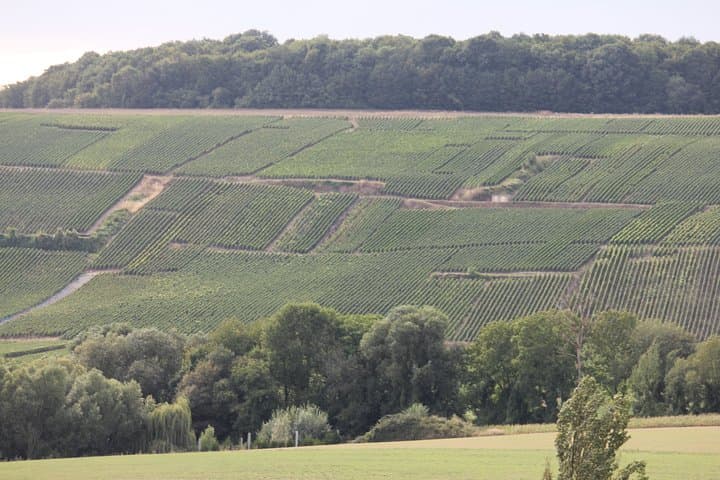 Custom Planned 2 Day Champagne Vineyard Tour with Private Driver