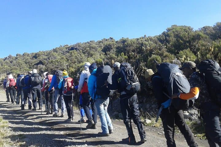 Kilimanjaro Machame Route Day Tour
