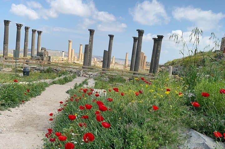 Umm Qais, Jerash & Ajloun Castle Day Tour from Amman