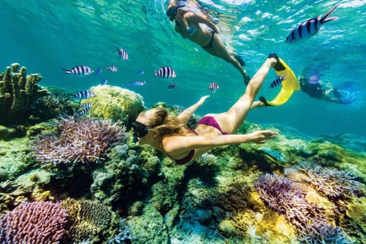 All Inclusive Bali Blue Lagoon Snorkeling with Lunch Private Tour