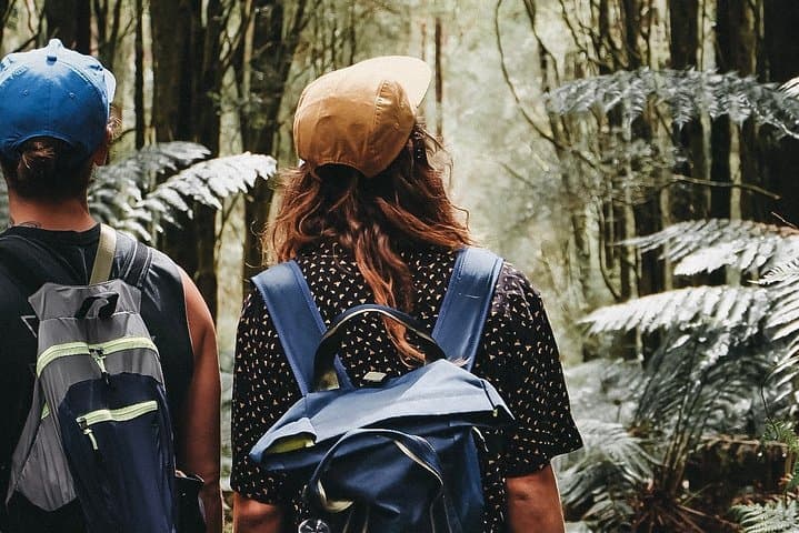 Small Eco Tour (8 ppl) - Yarra Valley & Dandenong Ranges Hike