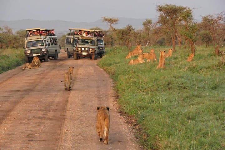 3days Tarangire,Ngorongoro Crater and lake Manyara