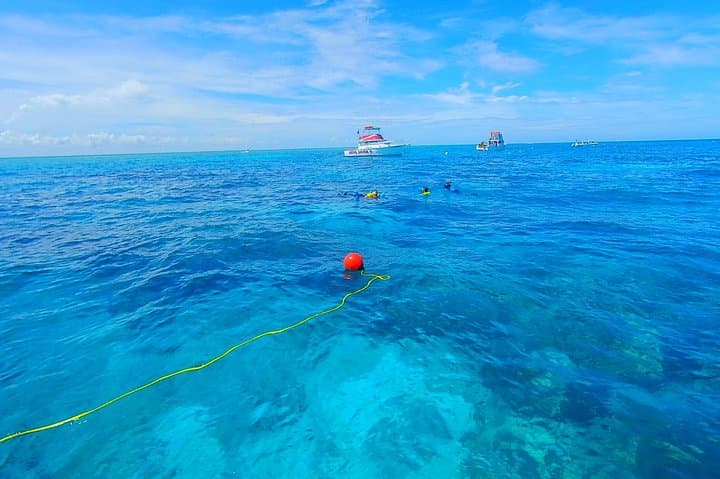 A Unique Private Snorkel Tour of Key Largo