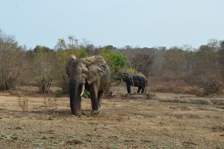 The best of Tamale walking tour