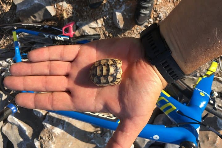 East Mani Road e-Bike Tour