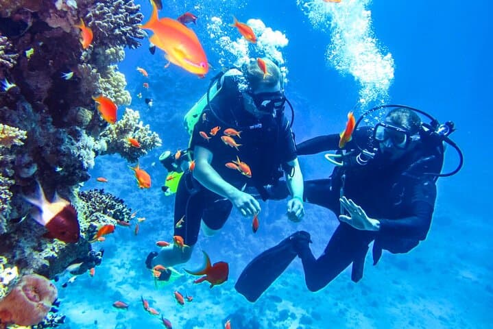 Scuba Diving in Mount Lavinia