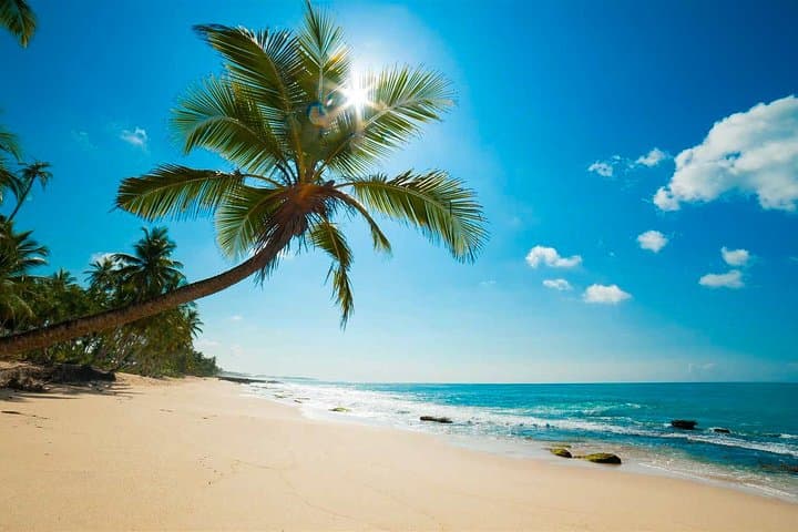 Negombo City Tour