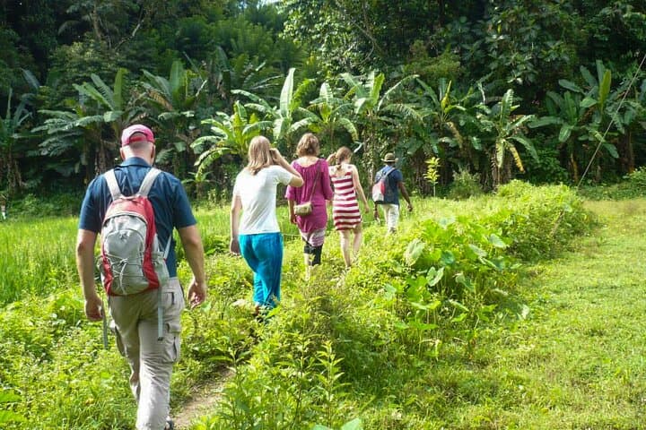 Hike to Peacock Hill from Kandy