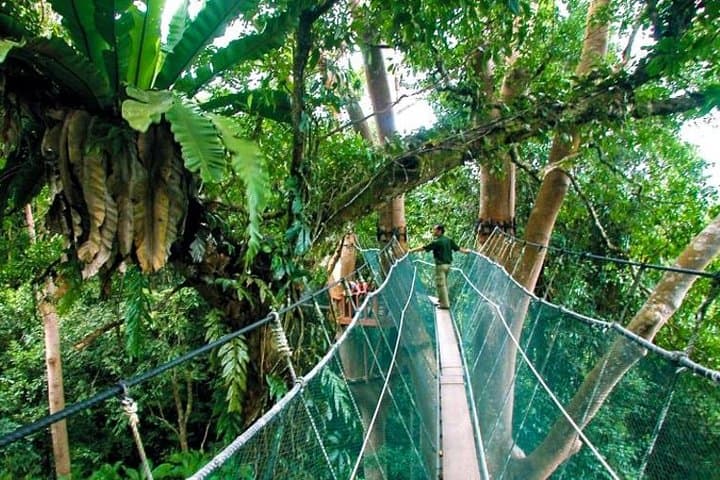 Sabah Highlights Adventure 7D/6N