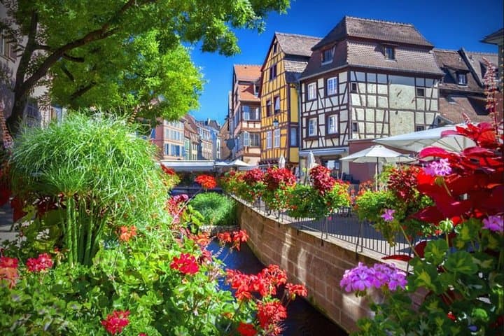 Alsace's Gems Small Group Day Tour from Colmar