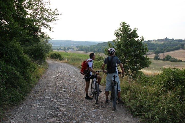 Small Group E-Bike Chianti Tour with farm lunch from Siena