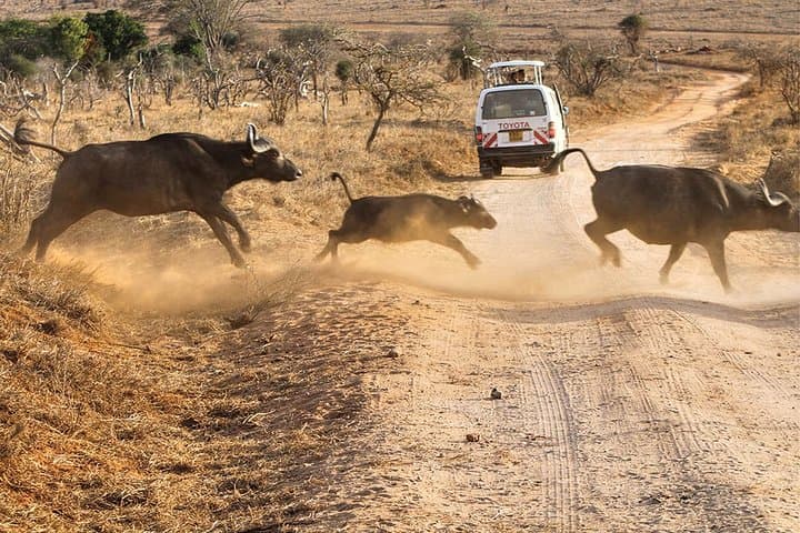 3 Days 2 Nights Tsavo west& Taita Hills Safari (Minimum 2 persons)