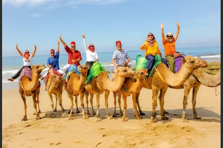 luxury 4 Hour Private Tour of Tangier