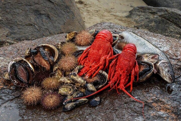 Tasmanian Seafood Gourmet Full-Day Cruise Including Lunch