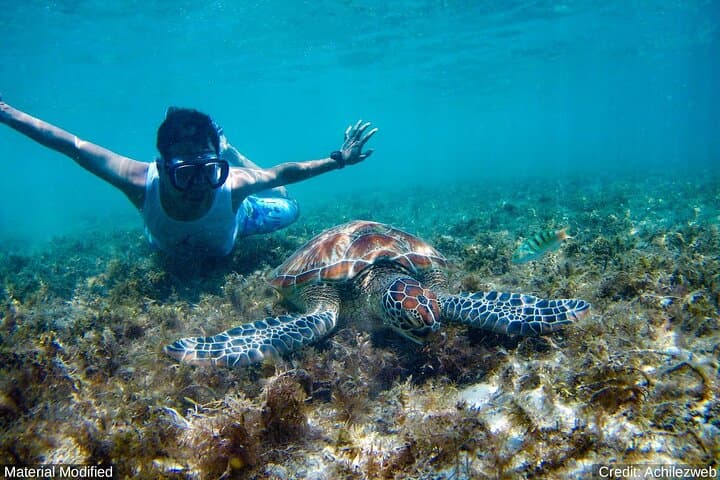 Cancun & Yucatan: See & Experience ALL in 9 Days, 1st Class Tours